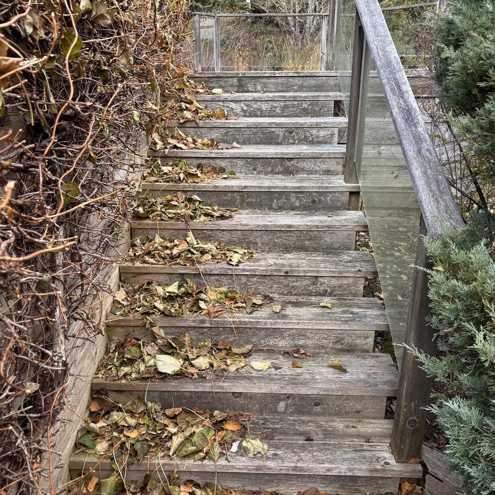 Stairs rebuilt in cedar with glass railing before