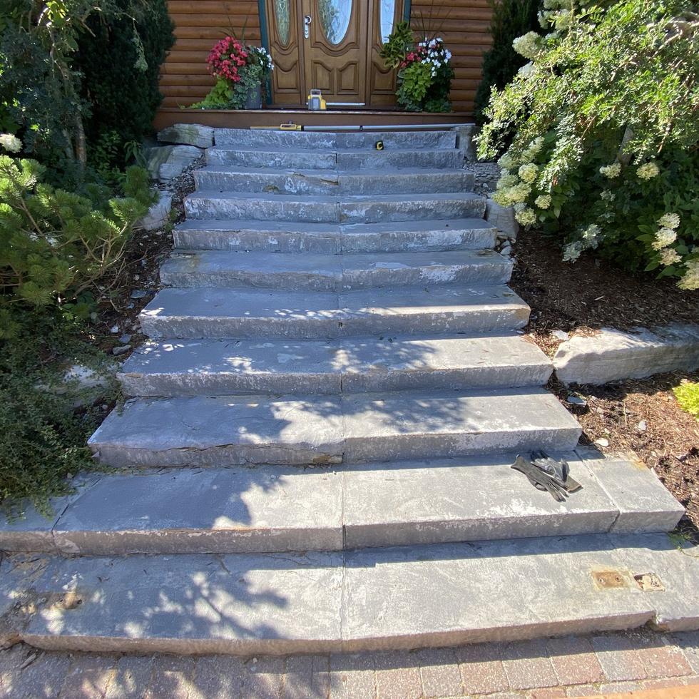Stone steps, beds and planting before