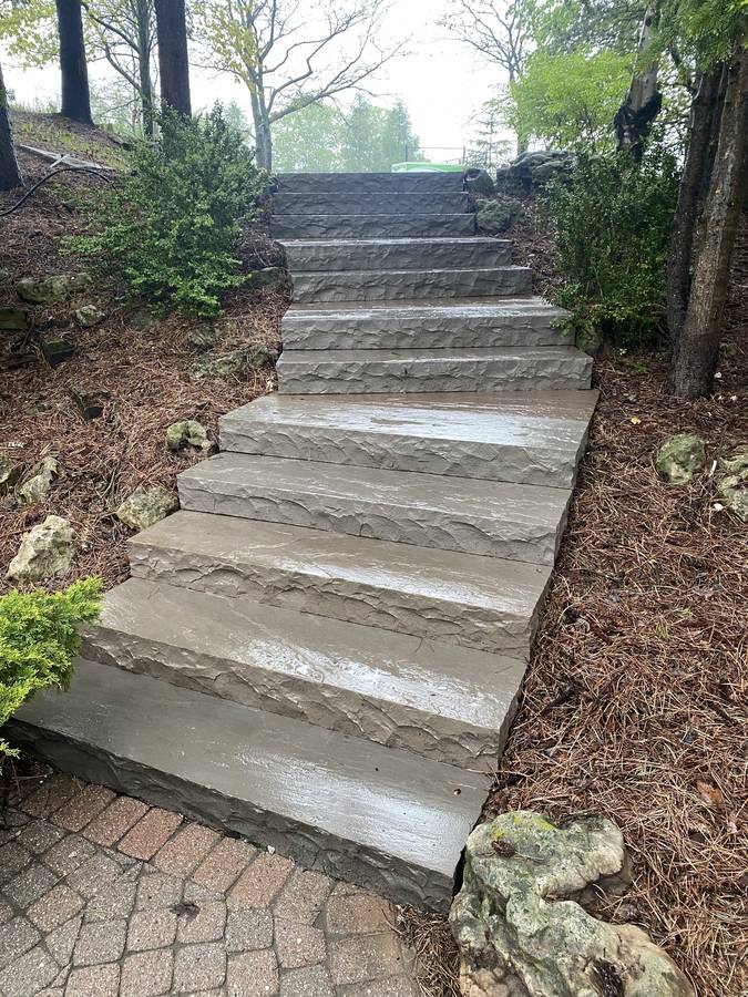 Stone steps through a garden