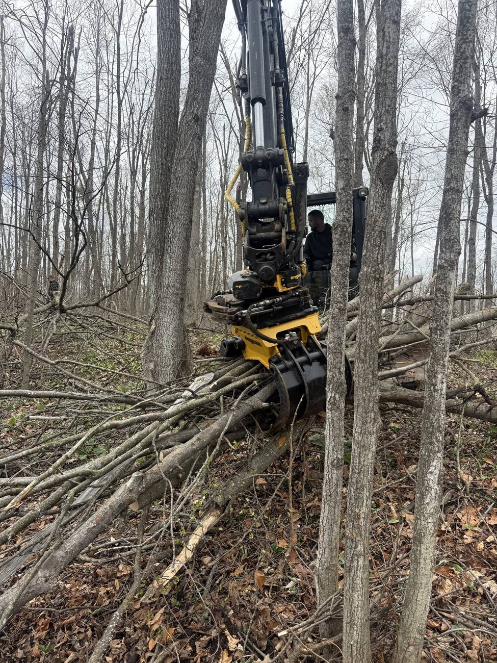 Excavator handling felled timber on a removal