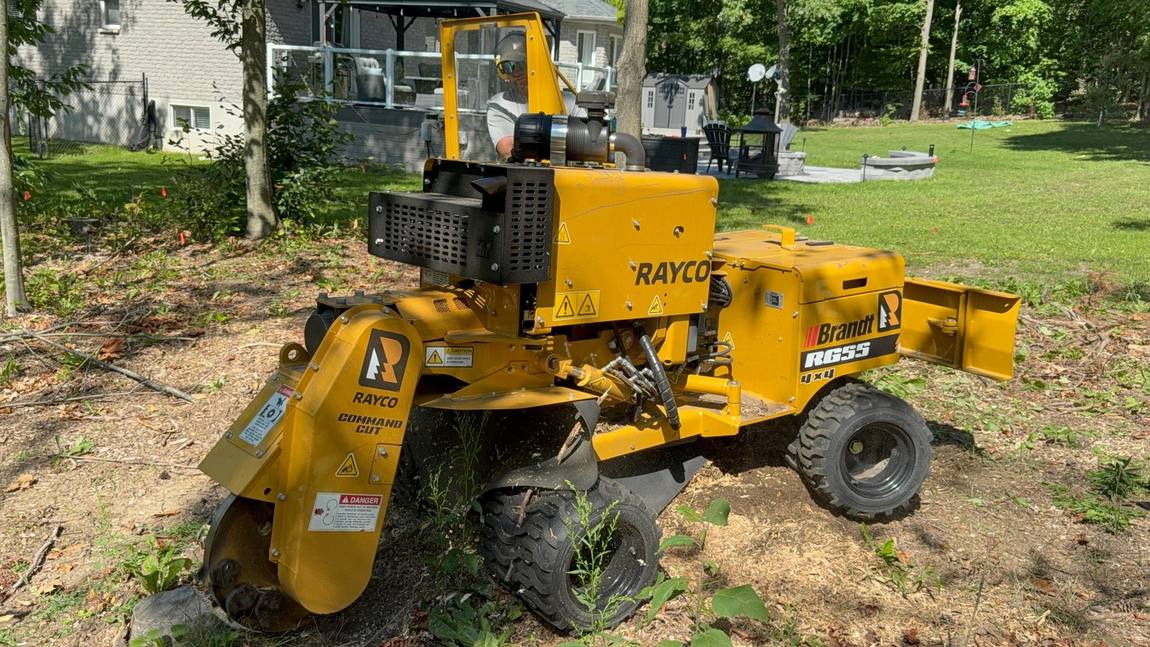 Rayco stump grinder cutting out a stump in a back garden