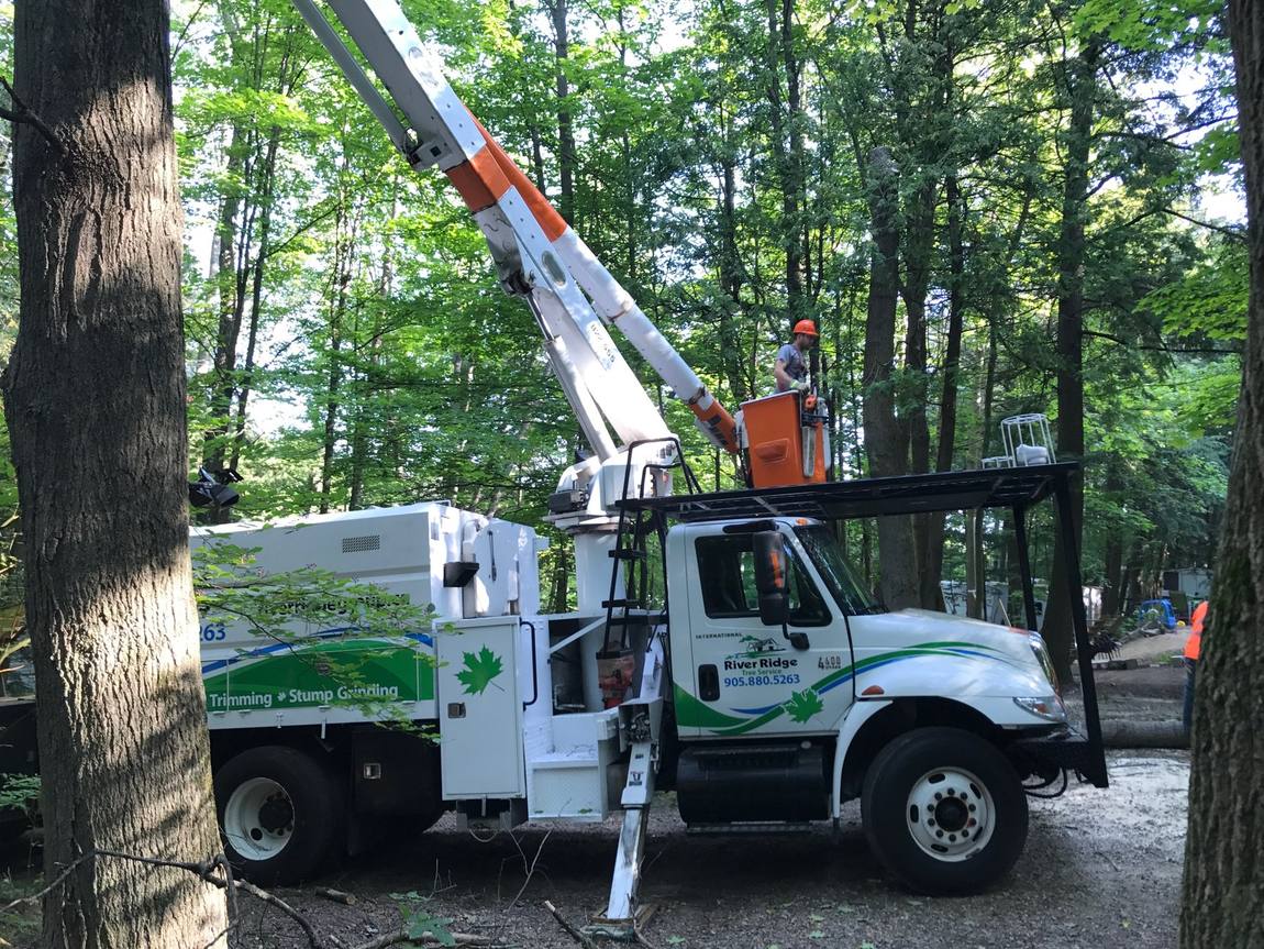 Arborist working from a bucket truck